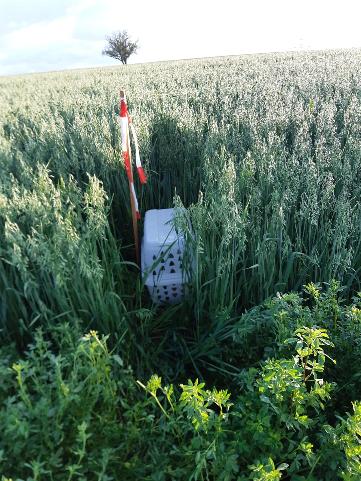 Einsatz 10
