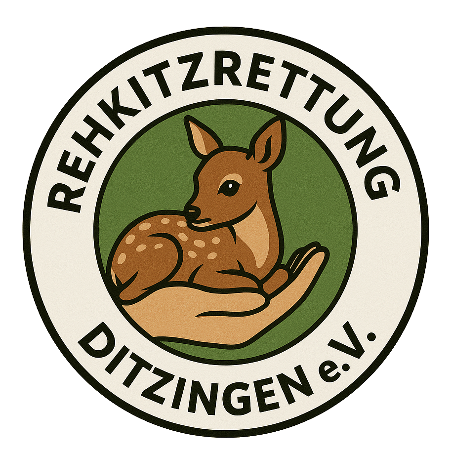 Rehkitz im Gras – versteckt und gefährdet